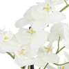 Dahlia Studios Potted Faux Artificial Flowers Realistic White Phalaenopsis Orchid in Gold Ceramic Pot Home Decoration 23" High - image 2 of 4