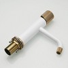 PAGED Single Handle Bathroom Sink Faucet with Hot Cold Water Mixer Tap,Bathroom Faucet for Home Sinks - 4 of 4