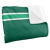 University Of Arkansas At Monticello Primary Logo Stripes Silky 50x60 Blanket, 1 Sided - 3 of 4