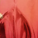 marilyn design