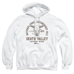 Men's Death Valley National Park Desert Scrub Pull-Over Hoodie - 1 of 4