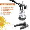 Zulay Kitchen Professional Heavy Duty Citrus Juicer - Manual Citrus Press and Orange Squeezer - image 4 of 4
