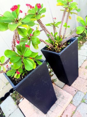 Guest review image 4 of 4, zoom in