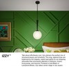 Lark Izzy 1 - Light Pendant in  Black - 2 of 4