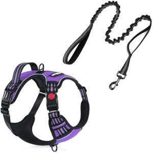 rabbitgoo Dog Harness - No Pull Pet Harness with 3 Buckles, Tactical Bungee Dog Leash with Shock Absorption, Purple, L - 1 of 1