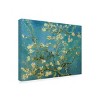 Trademark Fine Art -Vincent van Gogh 'Almond Branches In Bloom 1890' Canvas Art - 4 of 4