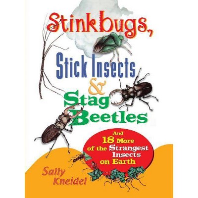 Stink Bugs, Stick Insects, and Stag Beetles - by  Sally Kneidel (Paperback)