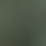 loving leopard agave green/black