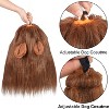 Lion Mane for Dog Costumes, Realistic Wig for Medium to Large Sized Dogs, Halloween Costumes - 4 of 4