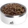 Hydrapeak Non Slip Stainless Steel Dog Bowl - 2 of 4