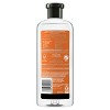 Herbal Essences Bio:renew Volumizing Shampoo with White Grapefruit & Mosa Mint - 13.5 fl oz - image 3 of 4