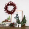 Northlight Frosted Berry Artificial Christmas Wreath - 18" - Unlit - 3 of 4