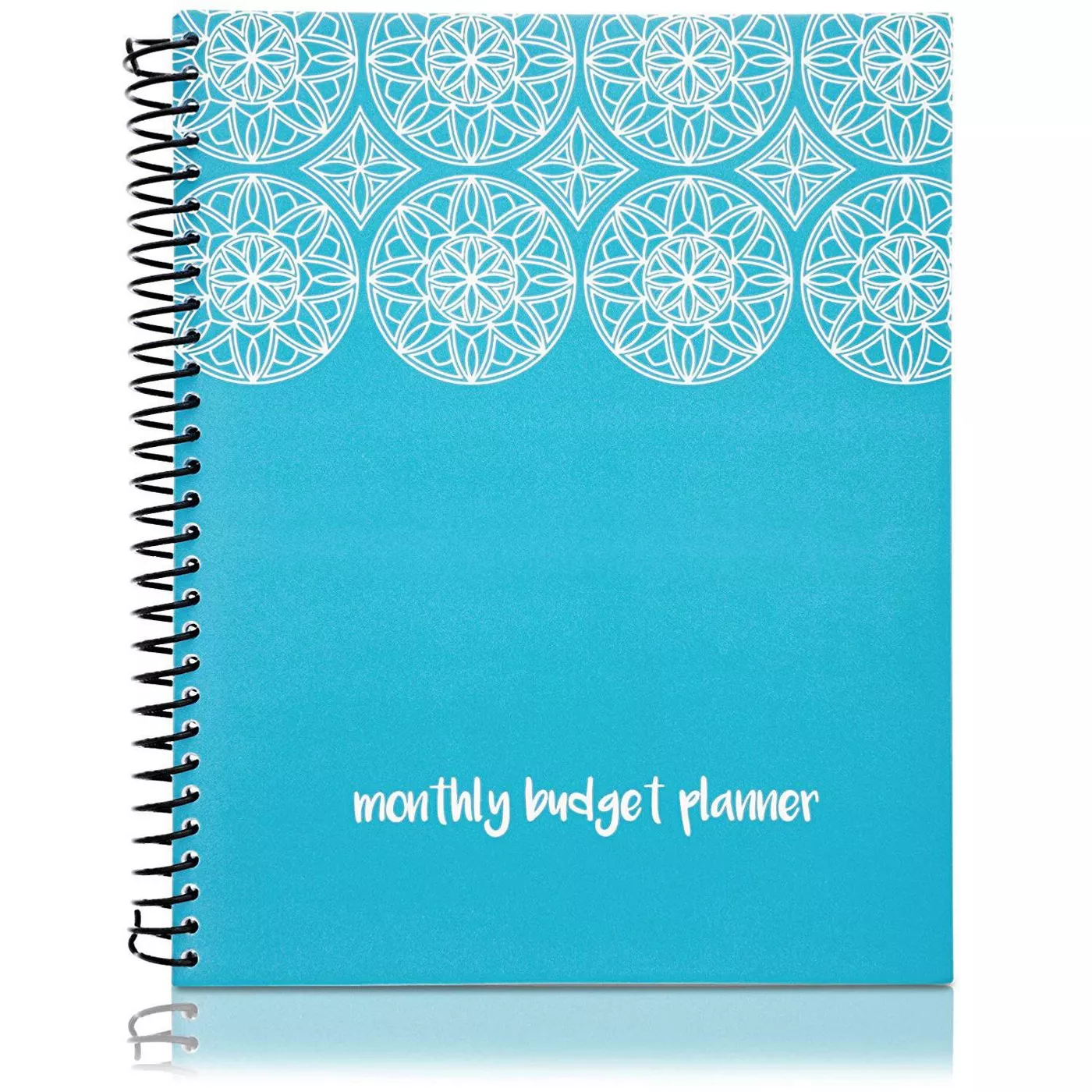 Paper Junkie Monthly Budget Planner, 24 Pockets for Receipts, Expense Tracker, Bill Organizer Notebook (8x10) - image 1 of 8