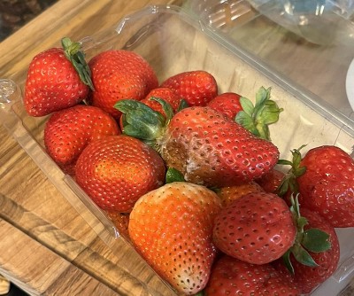 Guest review image 2 of 2, zoom in