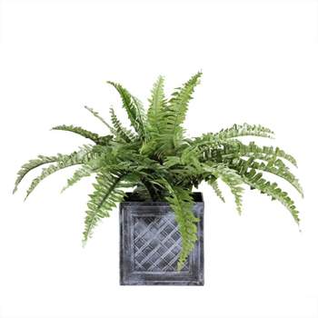 Northlight 20" Boston Fern Artificial Plant in Weathered Square Planter - Green/Gray