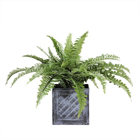 northlight artificial fern boston square weathered planter gray plant target