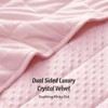 Dot Weighted Blanket, 15lbs, Queen Size, Soft Cozy Blanket for Stress Relief and Sleep, Breathable Pink 60x80 Inches - 2 of 4