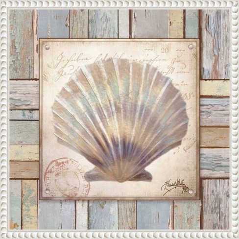 Nautical Art Prints hotsell Shell art SeaShell Collection1 3prints - Shell prints nautical map nautical print Shell wall art coastal art beach house