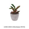 Unique Bargains Artificial Plants Mini Peperomia in Pulp Plastic Fuchsia 2.56"x2.56"x4.33" 1 Pcs - 3 of 4
