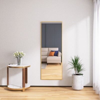 64x24" Elevated Tempered Glass Full-Length Mirror: Stand & Wall-Attachable, Metal Frame for Living & Bedroom