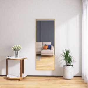 64 x 24" Full-Length Mirror: Tempered Glass, Metal Frame, Stand, Wall-Attachable - 1 of 4