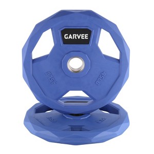2 Inch Bumper Weight Plate, Rubber Coated Weight Plate for Home Gym, Cast Iron Barbell Weight Plate for Strength Training Weightlifting - 1 of 4