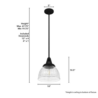 Hunter Fans 10" Cypress Grove Pendant Ceiling Light Natural Iron Finish