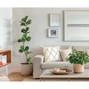 5/ 6/ 7FT Artificial Fiddle Leaf Fig Tree in Black Nursery Pot,Faux Potted Tree for Home Decor, Fake Rubber Tree for Indoor Office Living Room - 3 of 4