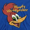 Boys’ Woody Woodpecker Retro Logo Hooded Sweatshirt - 2 of 4