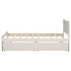 Cesicia Twin Size Platform Bed Frame with 2 Drawers - 4 of 4