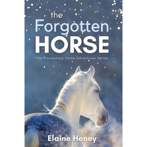 The Forgotten Horse - Book 1 in the Connemara Horse Adventure Series for Kids. The perfect gift for children age 8-12. - by  Elaine Heney (Paperback) - 1 of 1