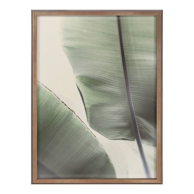 Vintage Palms Botanical Glass Framed Wall Art, 18" x 24"