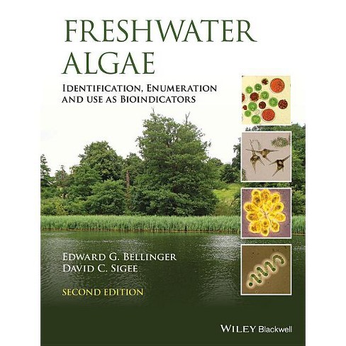 freshwater algae identification