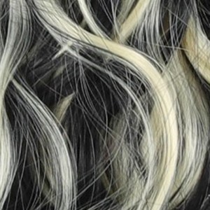 black and gray highlights