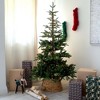 Nearly Natural 6-ft Pre-Lit Artificial Idaho Mixed Fir Christmas Tree with 130 Warm White LED Lights - 4 of 4