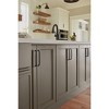 Amerock Renown Cabinet or Drawer Pull - 2 of 4