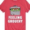 Boys' - Sesame Street - Feeling Grouchy Short Sleeve Graphic T-Shirt - 2 of 4
