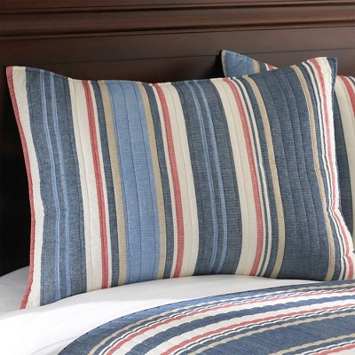 Oliver's Adventure Full Cotton Quilt Set in Blue and White for Boys