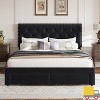 Garvee Upholstered Bed Frame with Storage Drawers, Velvet Platform Bed with Tufted Headboard & Rivets, No Box Spring Needed, Noise Free - 3 of 4