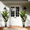 Maggift Artificial Plant Artificial Laurel Tree Indoor Faux Fake Floor Greenery Potted Real Touch Decorative Green Leaves, Green, 7.6"*38.4"*70.8" - 2 of 4