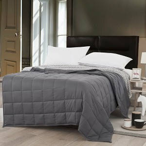 Costway Home Weighted Blanket Crystal Velvet Fabric w/Glass Beads 60''x 80'' Grey - 1 of 4