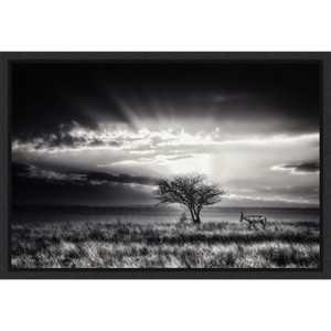 Amanti Art sunrise with hartebeest by Piet Flour Canvas Wall Art Print Framed 23-in. x 16-in. - 1 of 4