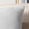 PAVILIA Set of 2 Throw Pillow Covers, Decorative Velvet Square Cushion Cases for Bed Sofa Couch Bedroom Living Room - 3 of 4
