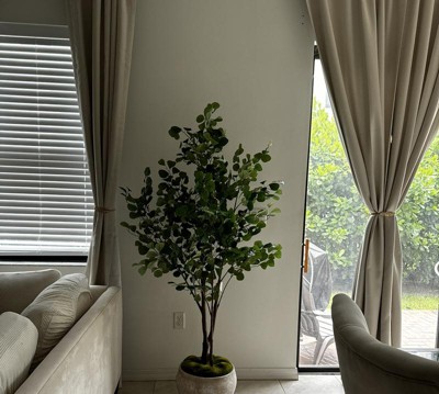 Guest review image 1 of 1, zoom in