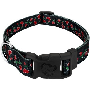 Country Brook Petz Deluxe Dog Collar - Affection Collection - 1 of 4
