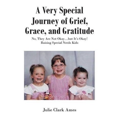 A Very Special Journey of Grief, Grace, and Gratitude - by  Julie Clark Ames (Paperback)