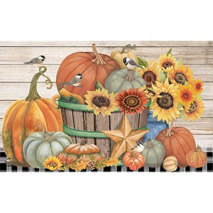 Briarwood Lane Fall Doormat 30x18 Indoor Outdoor Bountiful Bushel For Fall Doormat - 1 of 4