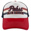 Adult Pabst Blue Ribbon Rubber Print Trucker Hat - 2 of 4