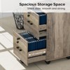 Karl Home | 15.7'' Wide 2 -Drawer Mobile File Cabinet - 3 of 4