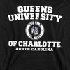 Queens University of Charlotte Official Circle Logo Adult Pull-Over Hoodie - 2 of 4
